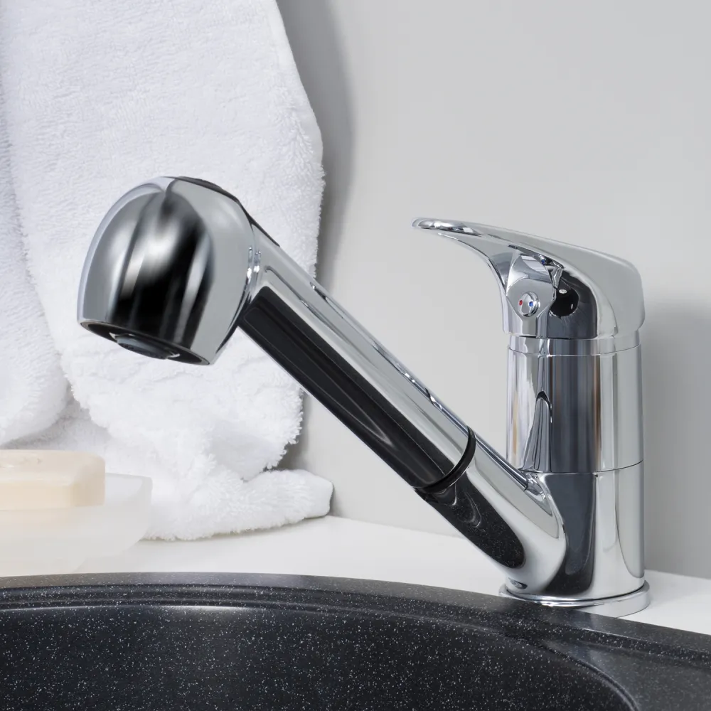 Смеситель для кухни с выдвижной лейкой WasserKRAFT Oder 6365